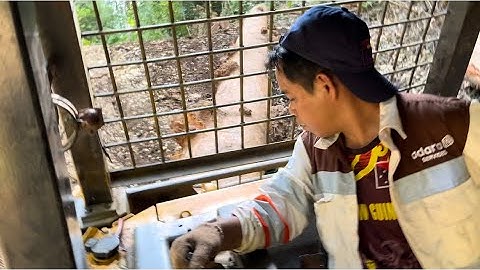 Luar Biasa!! Skill operator Bulldozer yang profesional