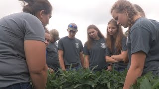 Students experience agronomy through crop scouting competition