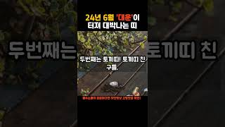 2024년 6월 '대운'이 터져 대박나는 띠