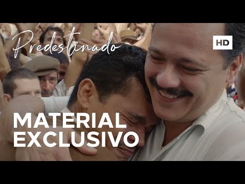 Predestinado: Arigó e o Espírito do Dr. Fritz | 1 de setembro nos cinemas