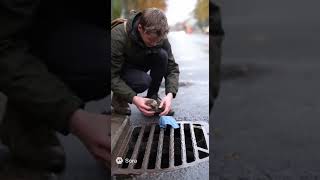 помощь животным