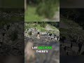 Nobody's Talking About This Fast Travel Spot #gaming #tips #shorts