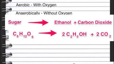 B6 Lesson 3 Useful Microbes OCR Gateway