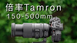 长焦拍多远？腾龙150-500mm f5-6.7 VC VXD (A057) 上手体验