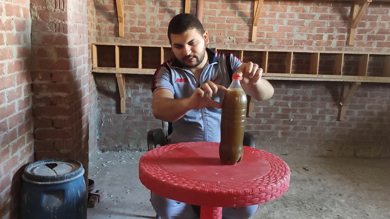 لو عاوز الزغاليل بتاعتك وزنها يزيد وتفور بسرعه ادخل اتفرج على الخلطه الطبيعيه دى#أبو_وحيد