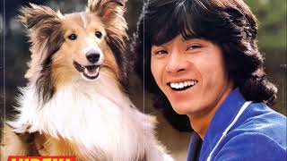 西城秀樹　What I did for Love
