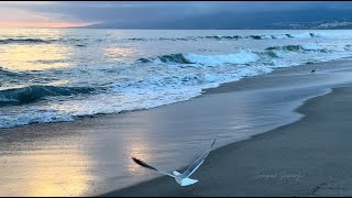 🔴 Calming Wave Sounds to Fall Asleep Fast, Peaceful Ocean Ambience, Soothing Waves for Deep Sleeping