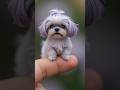 Mini Animals That Will Steal Your Heart in Seconds 💖#cuteanimals​ #ai​ #shorts #shihtzu #mini #tiny