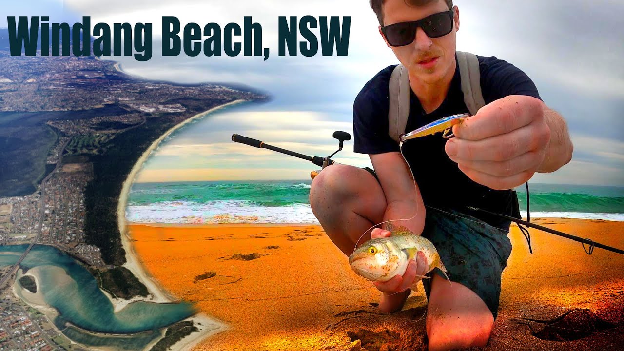Lure fishing Windang Beach, NSW (I found a school of Salmon!)