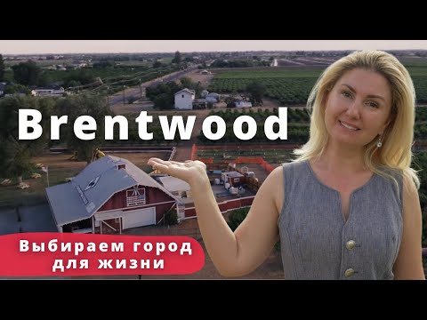 Видео: Farmstands & Фермерские туры в районе залива Сан-Франциско