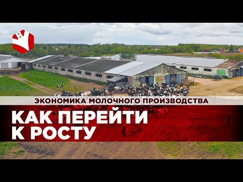 Как перейти к росту в производстве молока? | Экономика молочного животноводства