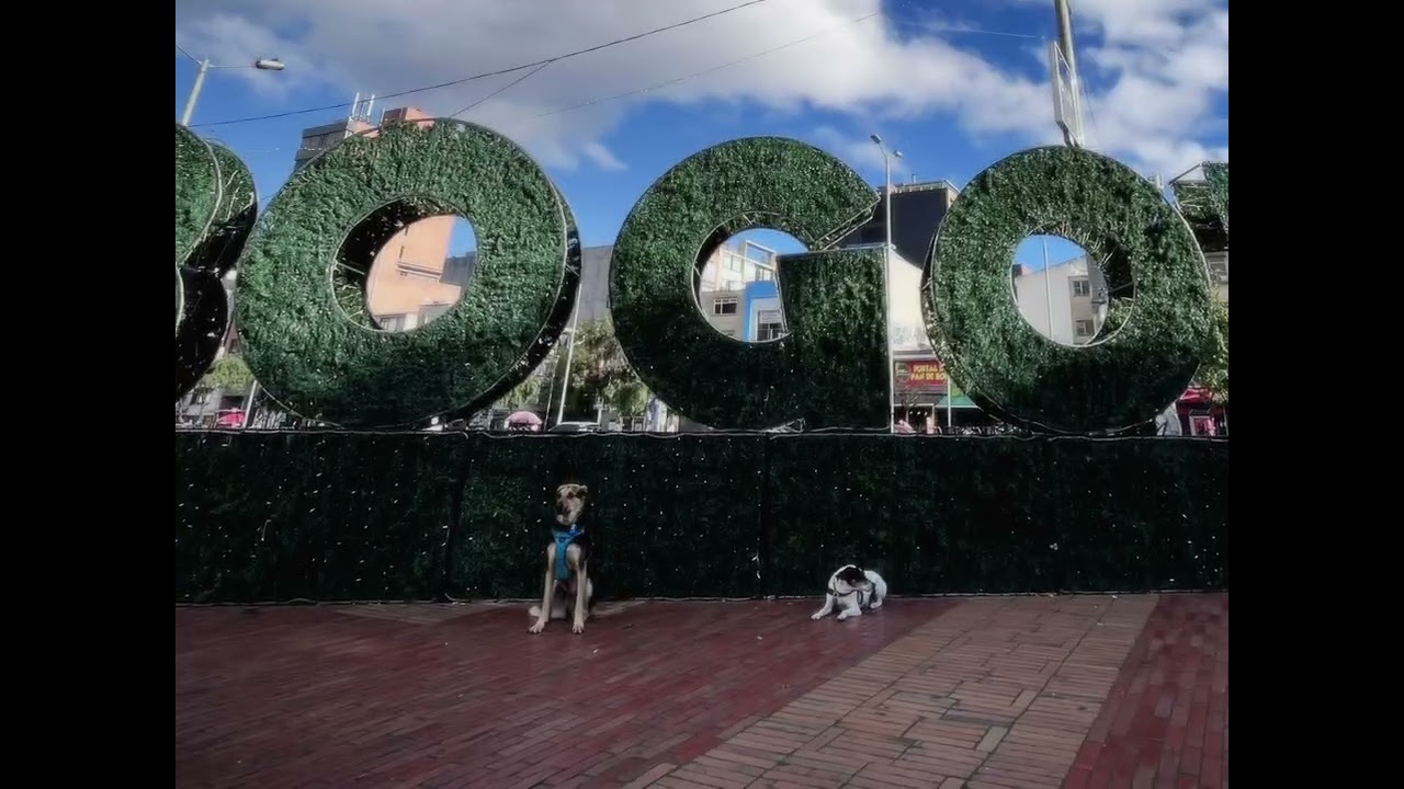 Milo & Chip en Bogotrash 