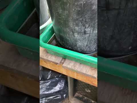 What Is A Drip Tray For Plants