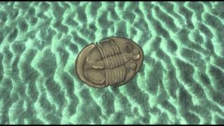 Trilobit