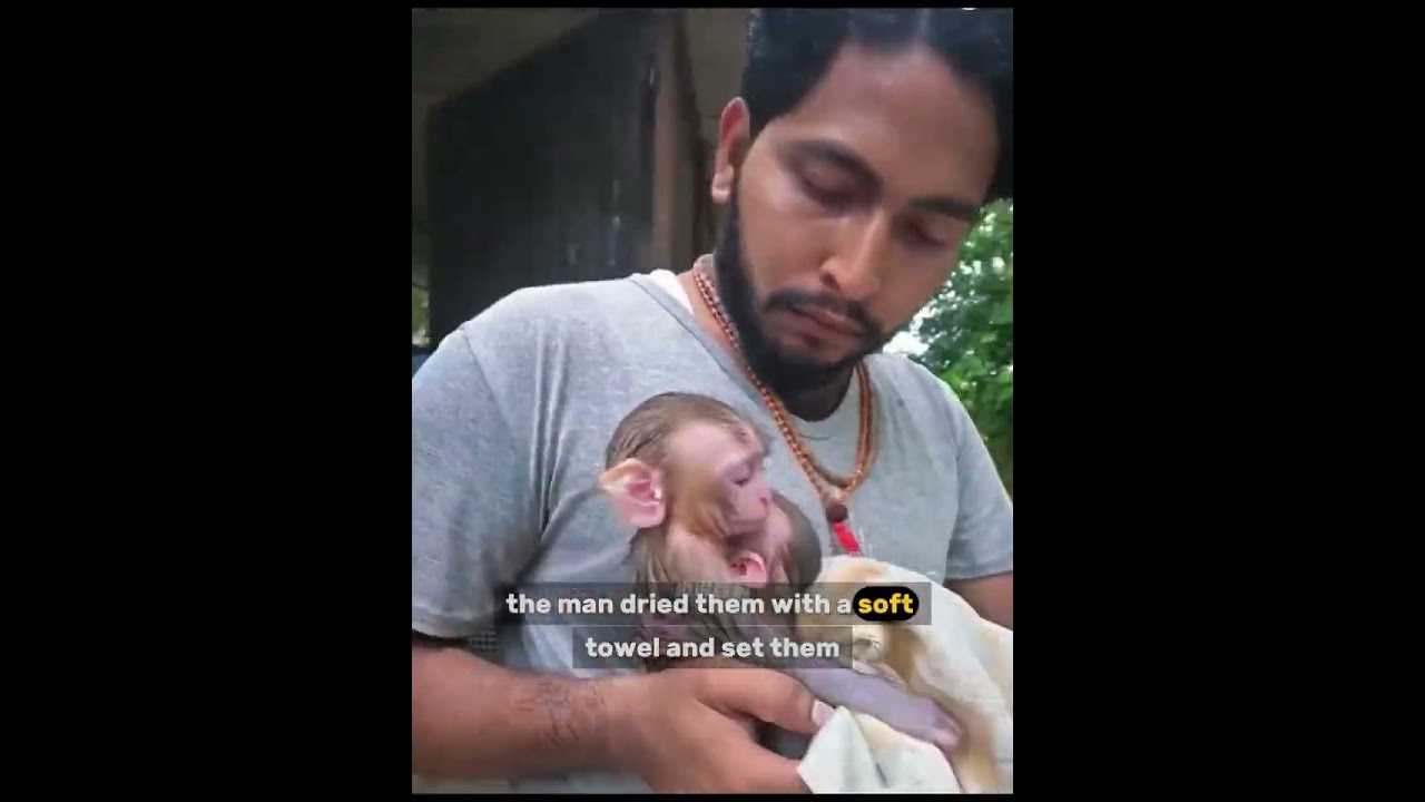 He Found Two Abandoned Baby Monkeys in a Trash Can &ndash; What Happens Next Will Melt Your Heart!