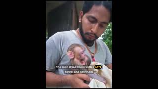 He Found Two Abandoned Baby Monkeys in a Trash Can – What Happens Next Will Melt Your Heart!