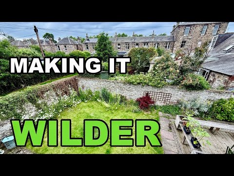 They're Making it Wilder - Here's How