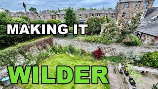 They're Making it Wilder - Here's How