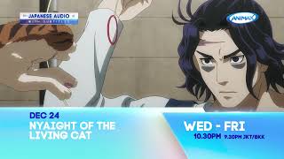 Animax December Highlights
