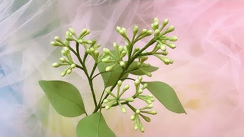 ABC TV | How To Make Eucalyptus Branch Paper - Craft Tutorial