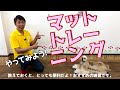 【犬のしつけ】 マットトレーニングの教え方。ドッグカフェでも役立ちます！