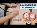 Cardiovascular Examination - OSCE Guide (Old Version)