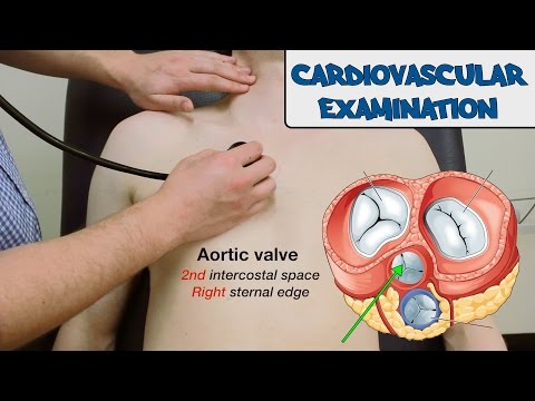 cardiovascular-examination---osce-guide-(old-version)