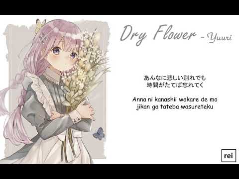 Dry Flower - ドライフラワー / Nightcore「 Yuuri 優里 」covered by かぴ || Lyric Video