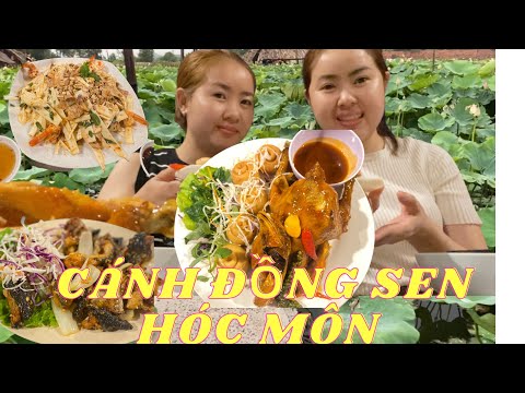 Video DU KÍ CÁNH ĐỒNG SEN HÓC MÔN-VLOG 46 #canhdongsen... - youtube