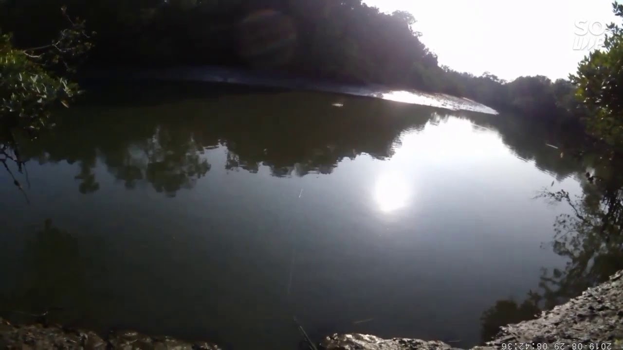 casting tarpon (ikan bulan) - topwater mini popper