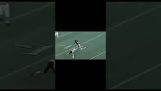 Doug Flutie finds Willie Gault for a TD in 1986 #nfl #football #bears #shorts