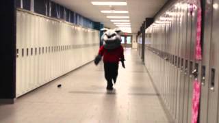 SAA HOLIDAY VIDEO