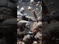 Batman Beats Up Bane