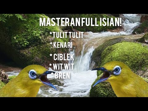 B1K1N C3P4T N3MB4K-N3MB4K P4NJ4NG, Terapi Pleci Nembak