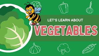 For Kids Class - Vegetable Presentation in Colorful - Educational Cartoon