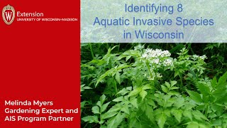 Identifying Eight Invasive Aquatic Plants in Wisconsin