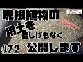 【塊根植物/多肉植物】#72 - 塊根植物の用土を惜しげもなく紹介します【コーデックス】