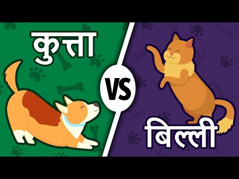 वीडियो: क्या बिल्ली या कुत्ता होना बेहतर है?