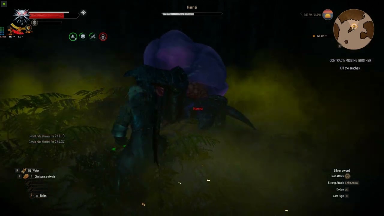 The Witcher 3: Kill the Arachas – Missing Brother - YouTube