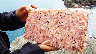 100号竿とエビ集合体使って過酷ポイントで釣り！