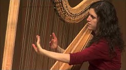 Extended Techniques for Harp 