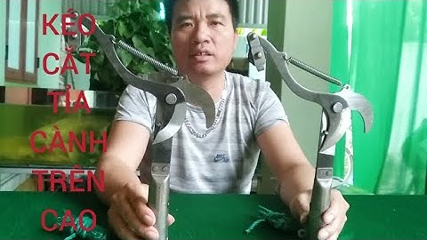 KÉO CẮT TỈA CÀNH CÂY HÁI HOA QUẢ TRÊN CAO ĐA NĂNG THUẬN TIỆN CHO MỌI GIA ĐÌNH MẪU MỚI