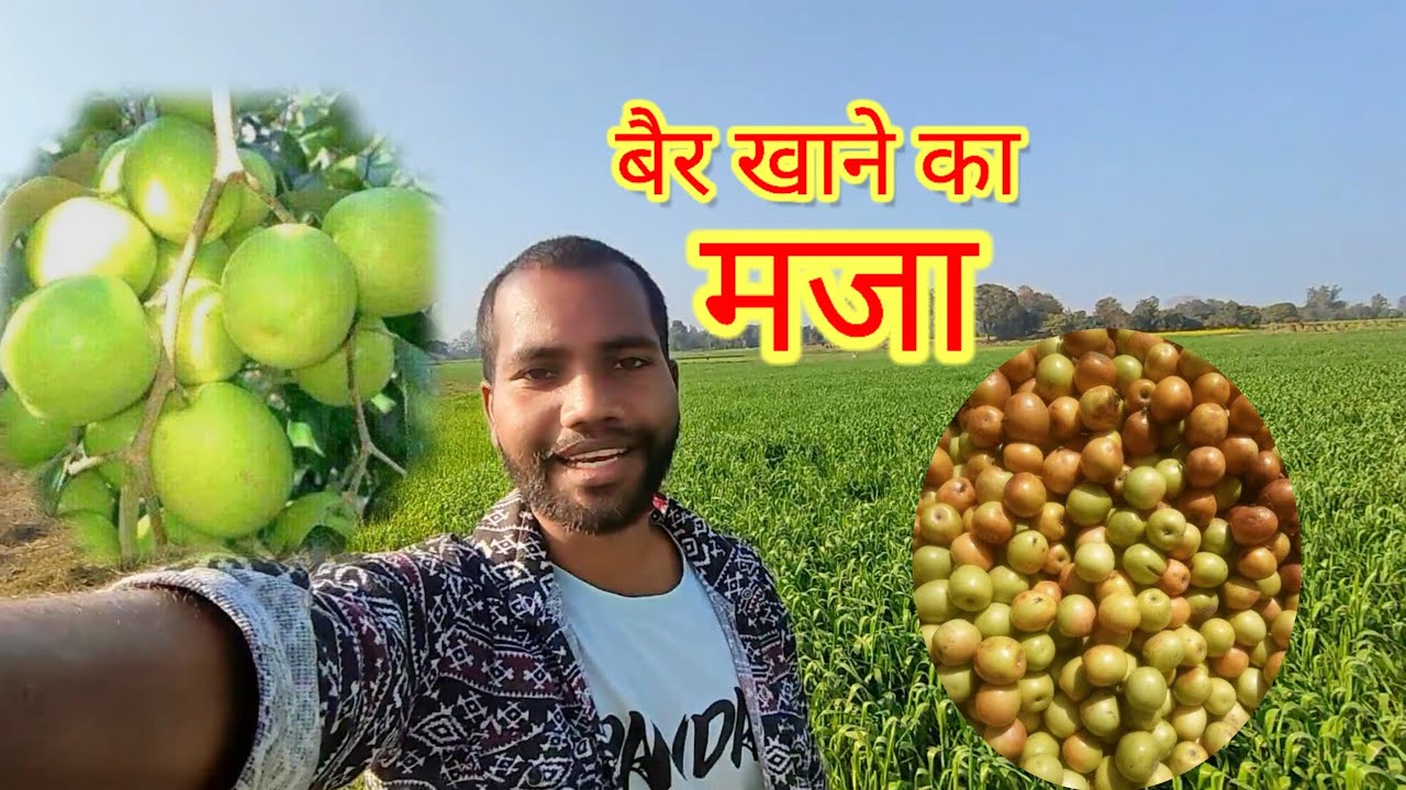 बैर खाने का मजा 😋 | enjoy in life #vlog video 