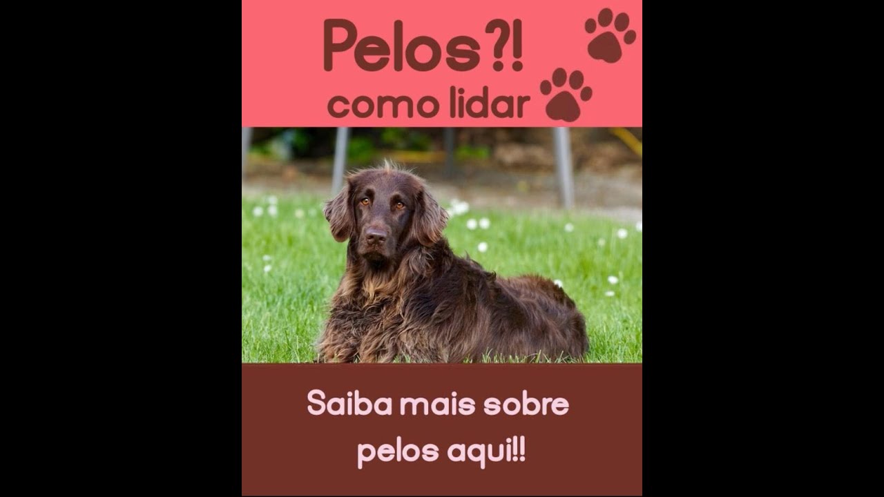 Todos os vídeos