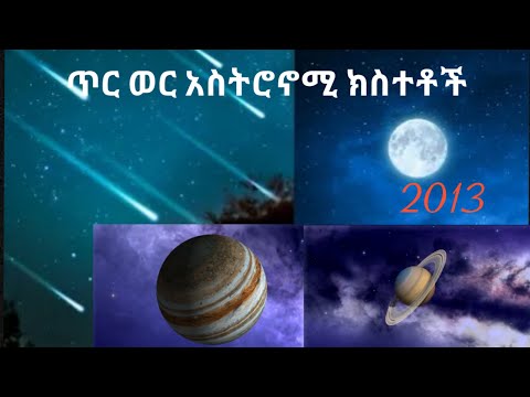 ቪዲዮ: የከዋክብት ዓሳ ሙሉ ዚጎት ቀደምት ስንጥቅ ውስጥ ይሳተፋል?