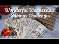 Show Me the Money! #savings #challenges 