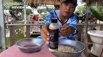 HƯỚNG DẪN SỬ DỤNG BỘT TƠ NHỆN TRỘN VỚI TRÙN CHỈ, TRỨNG KIẾN