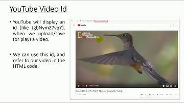 Web Engineering | Lecture 15 (YouTube with HTML)