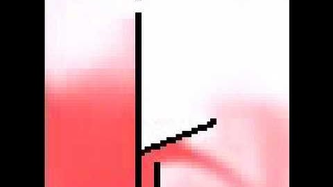 a lattice boltzmann simulation (hydrostatic effect)