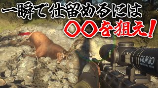 【脱初心者】一撃で動物を狩る最強の方法を教えます。【the Hunter: Call of the Wild】 screenshot 2